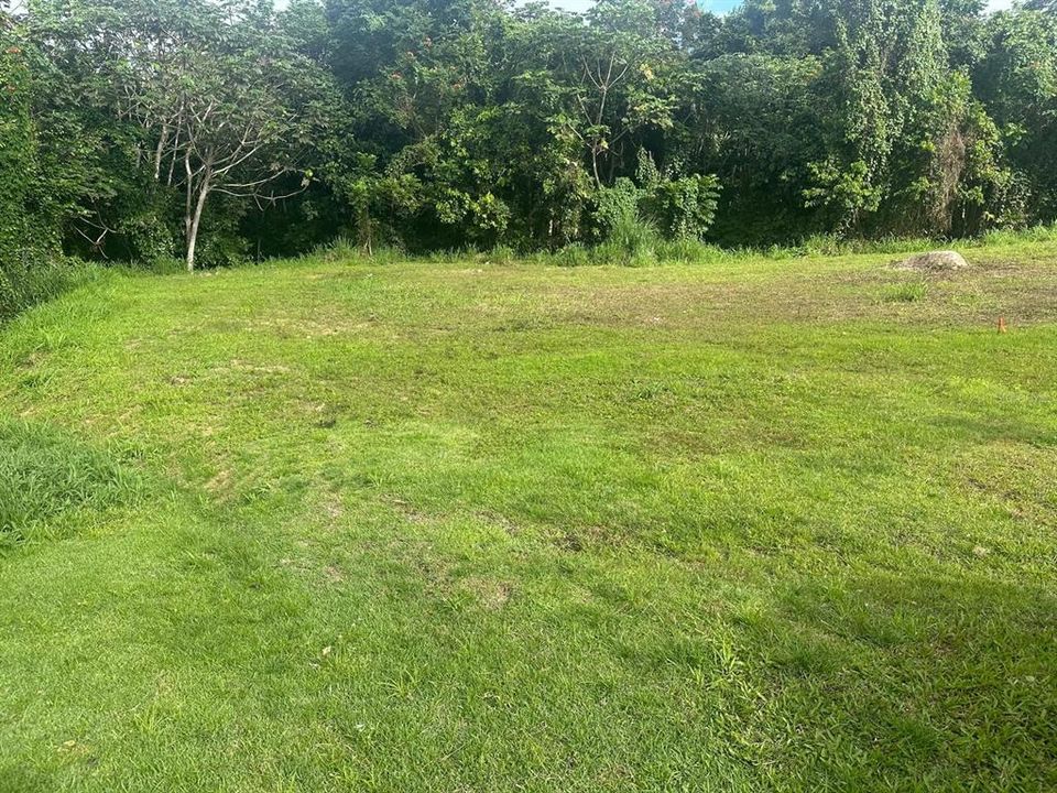 Vendido Recientemente: $60,000 (0.45 acres)