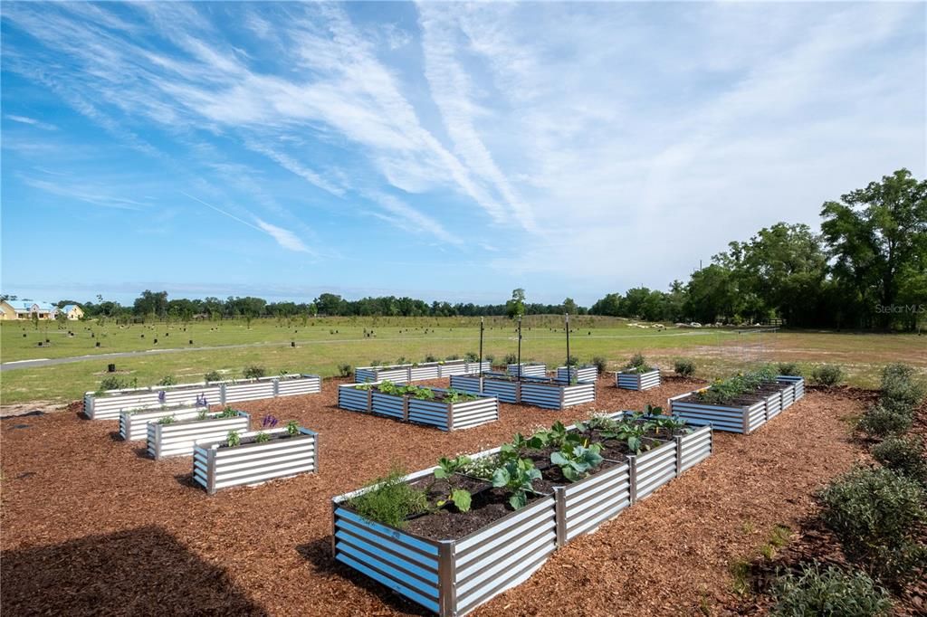 For Sale: $360,000 (1.00 acres)