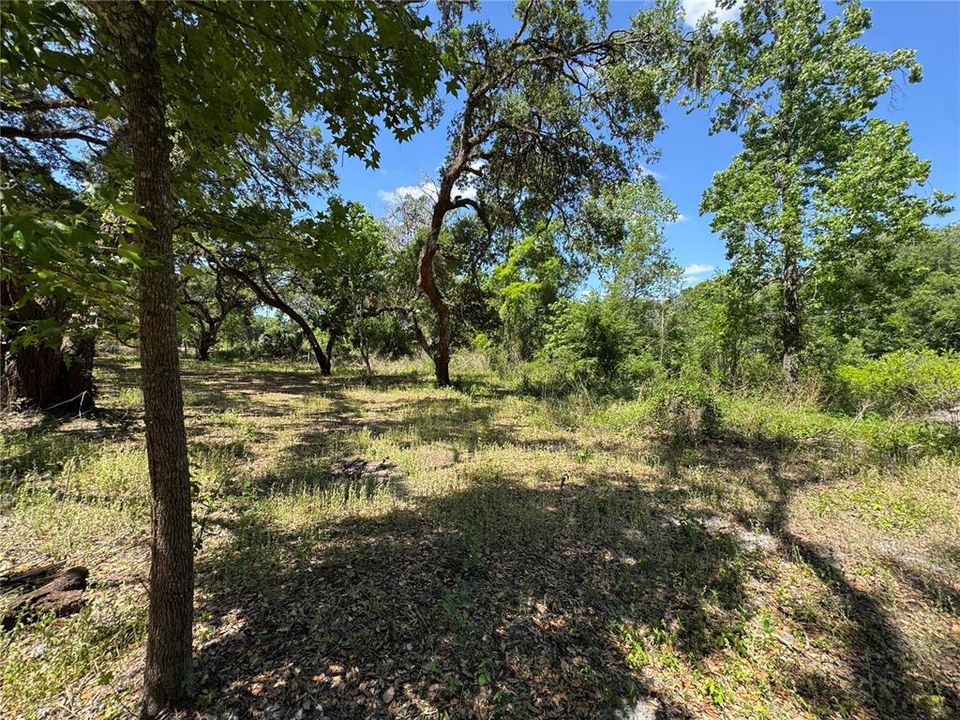 For Sale: $65,000 (0.60 acres)