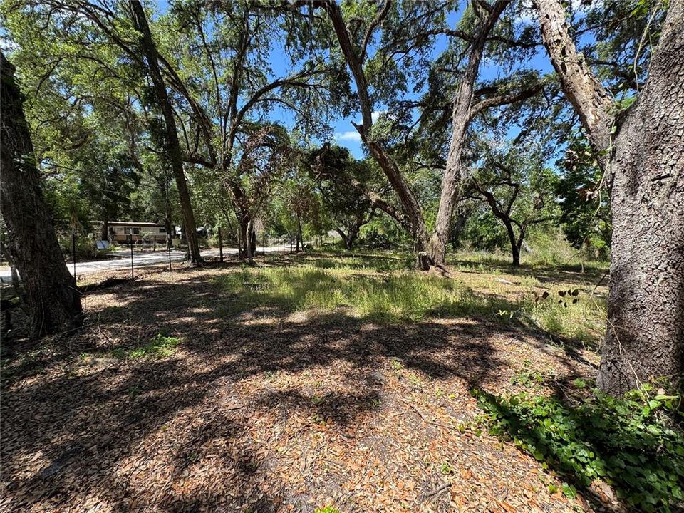 For Sale: $65,000 (0.60 acres)