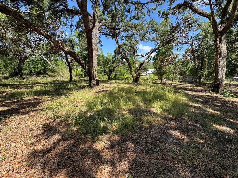 For Sale: $65,000 (0.60 acres)