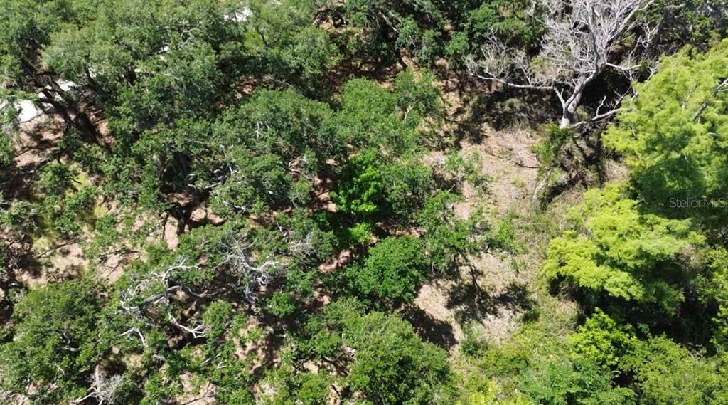 For Sale: $65,000 (0.60 acres)