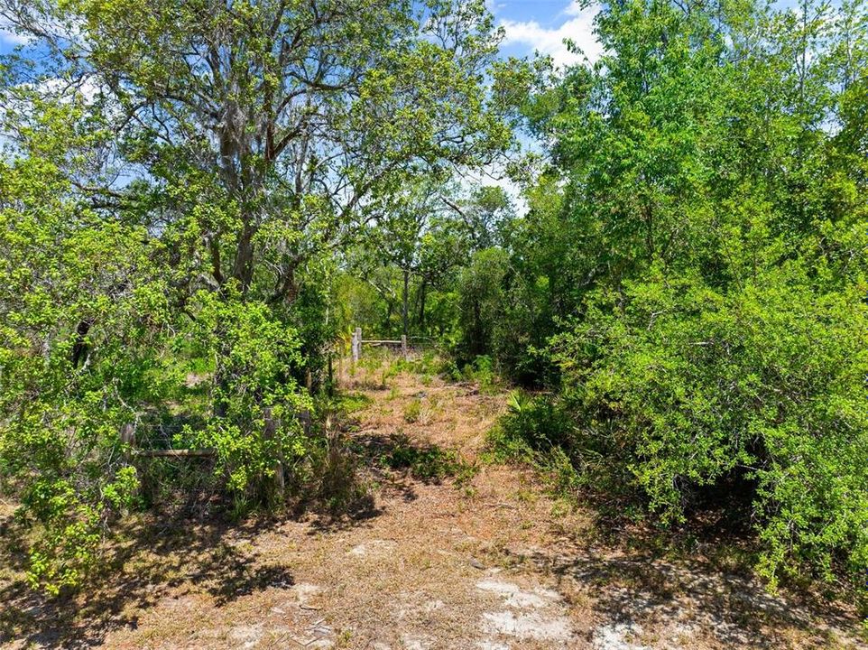 For Sale: $263,900 (5.00 acres)