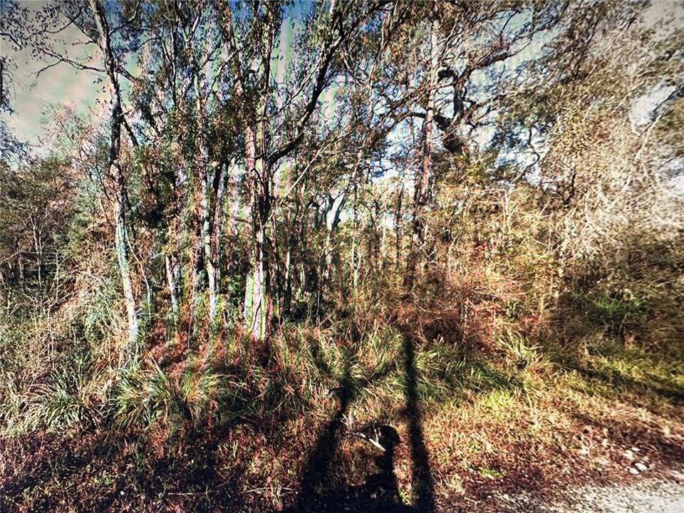 待售: $35,000 (1.13 acres)