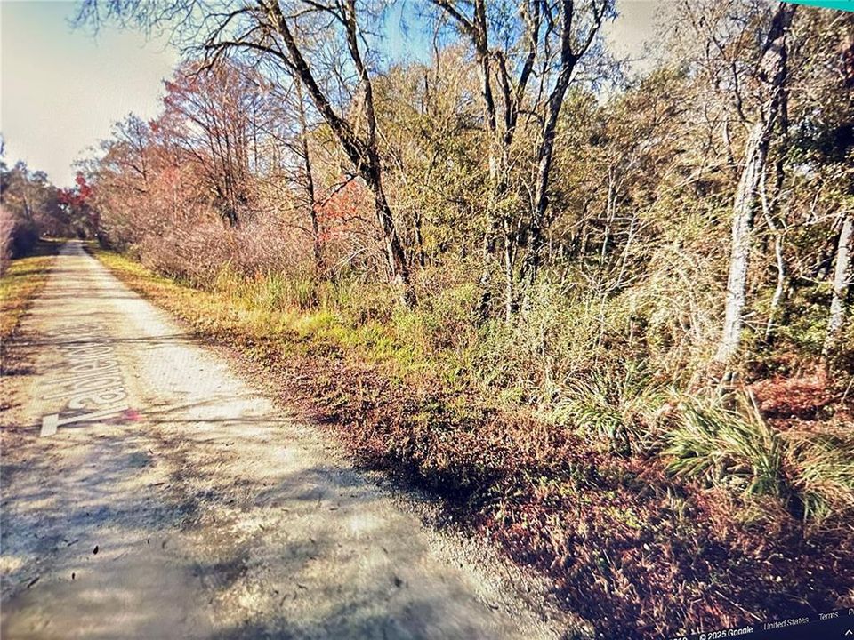 待售: $35,000 (1.13 acres)