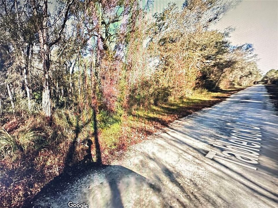 待售: $35,000 (1.13 acres)