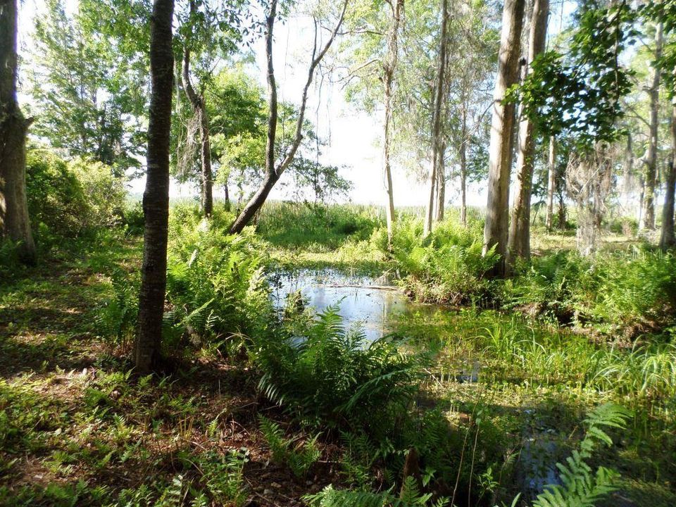 На продажу: $350,000 (5.00 acres)