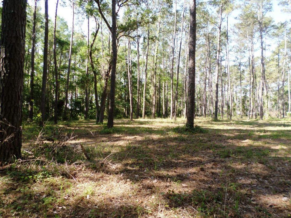 На продажу: $350,000 (5.00 acres)