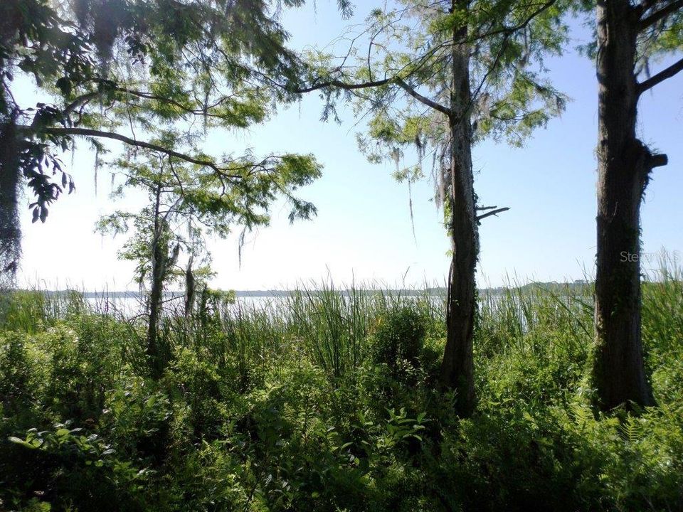 На продажу: $350,000 (5.00 acres)