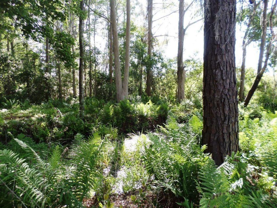 На продажу: $350,000 (5.00 acres)