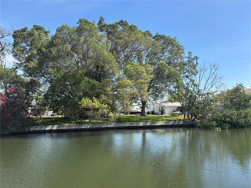 En Venta: $449,000 (0.31 acres)