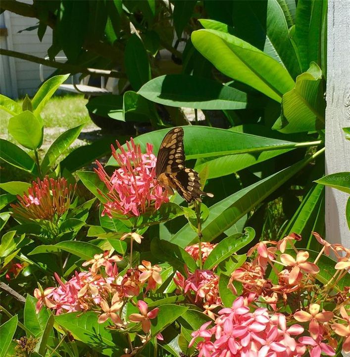 En Venta: $650,000 (3 camas, 2 baños, 1574 Pies cuadrados)