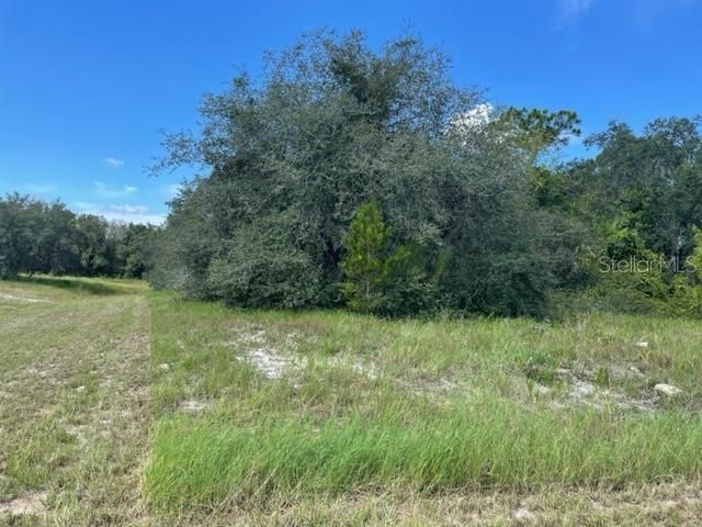 Active With Contract: $37,000 (0.23 acres)