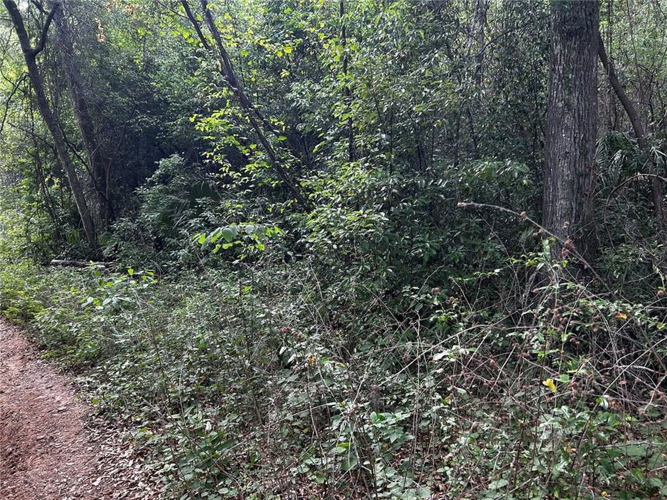 待售: $15,000 (0.28 acres)