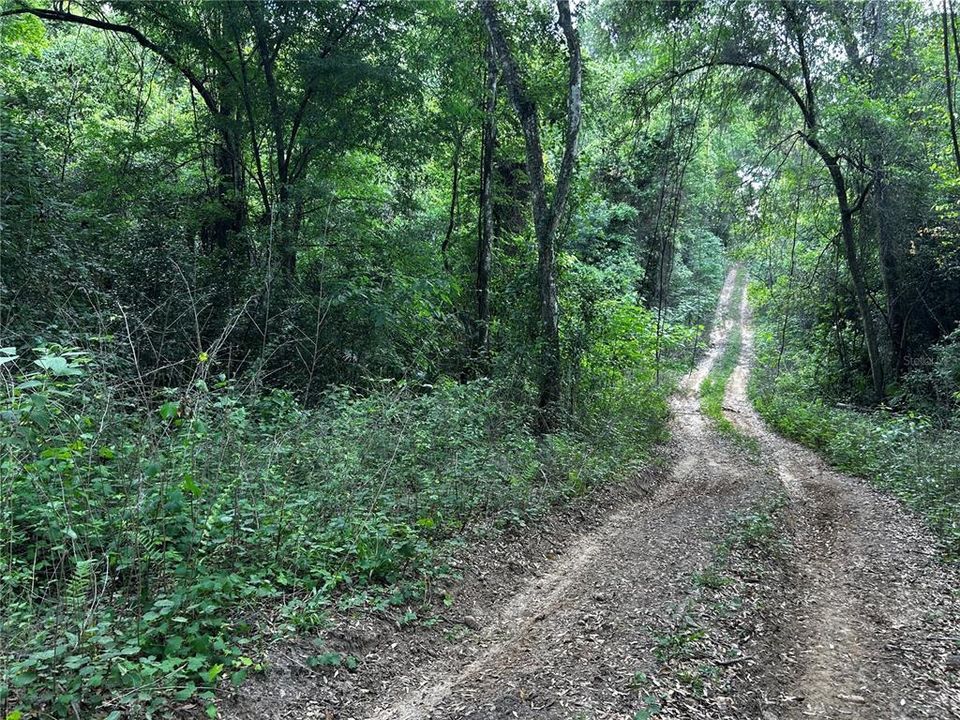 待售: $15,000 (0.28 acres)