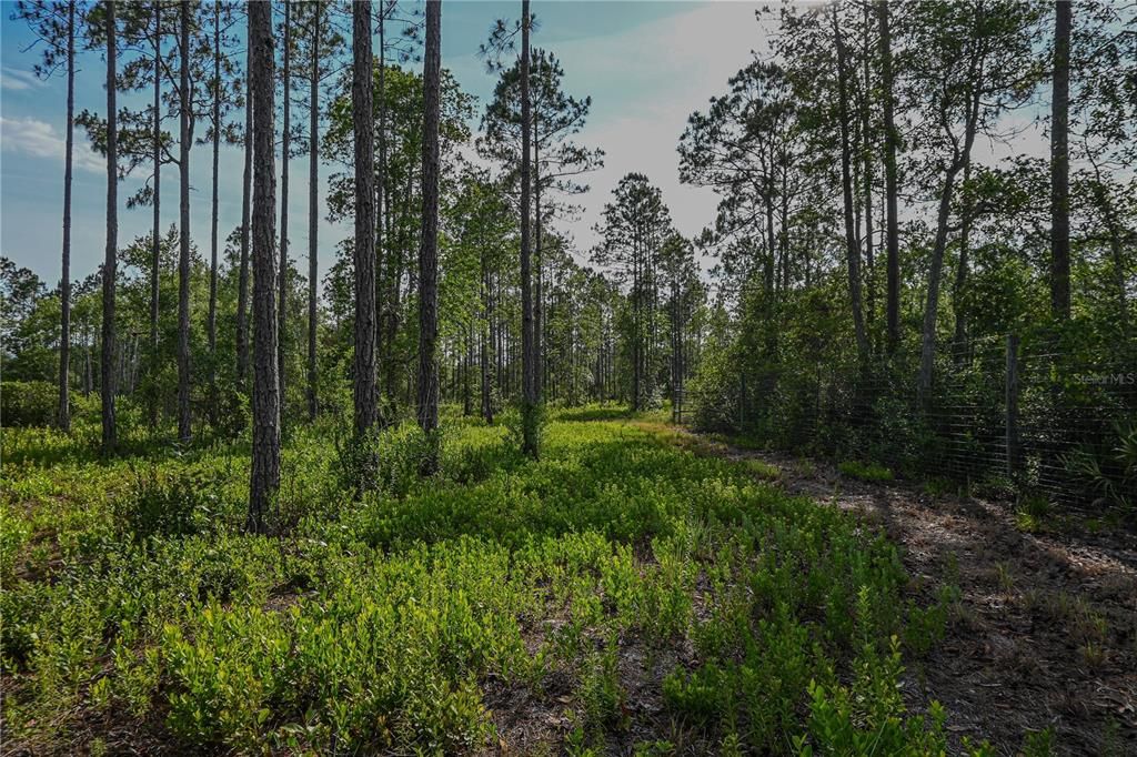 На продажу: $199,900 (14.03 acres)