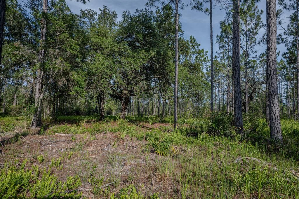 На продажу: $199,900 (14.03 acres)