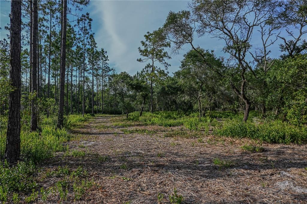 На продажу: $199,900 (14.03 acres)
