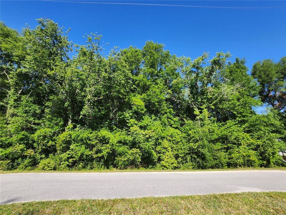 En Venta: $16,900 (0.24 acres)