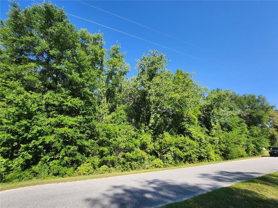 En Venta: $16,900 (0.24 acres)