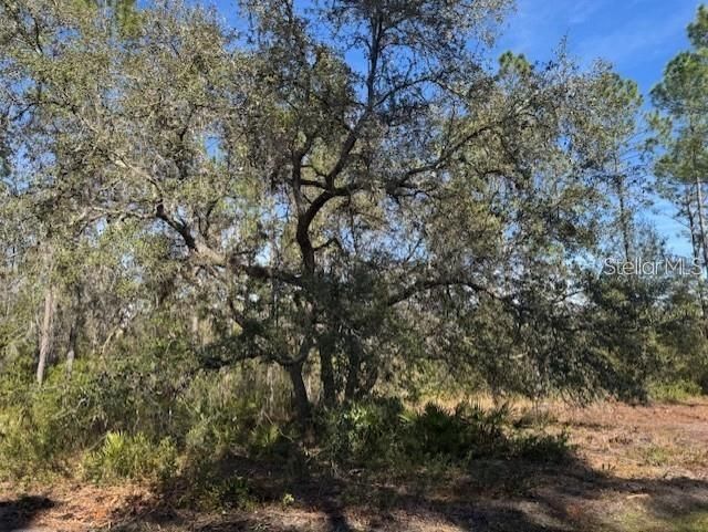 待售: $499,900 (36.00 acres)