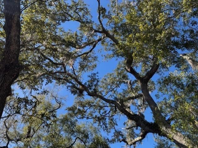 待售: $499,900 (36.00 acres)