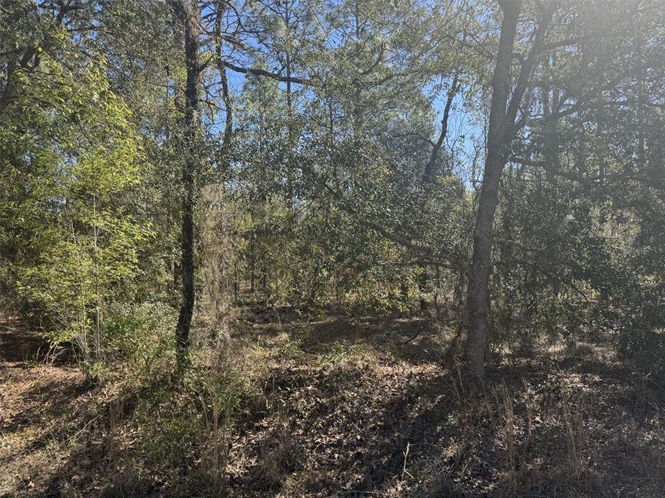 Recently Sold: $24,900 (1.00 acres)