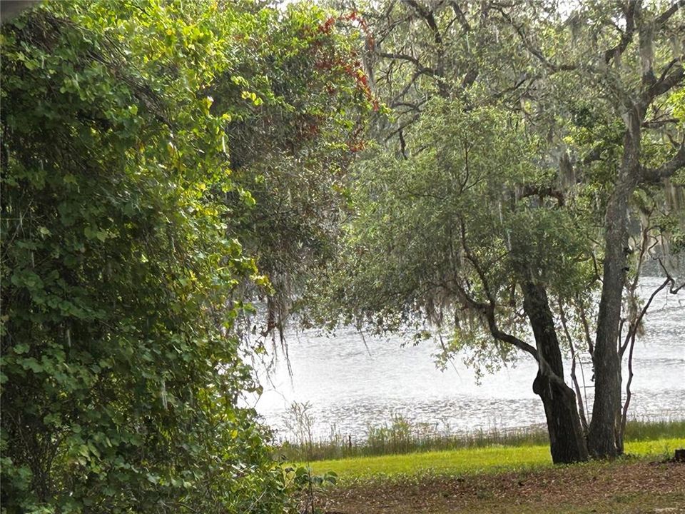 For Sale: $22,500 (0.19 acres)