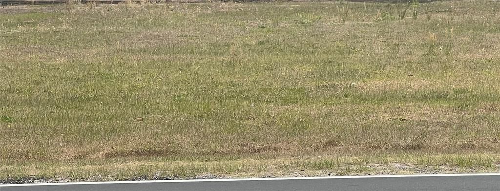 En Venta: $55,500 (0.31 acres)