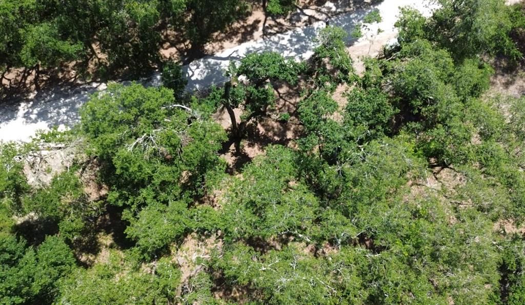 На продажу: $25,000 (0.30 acres)