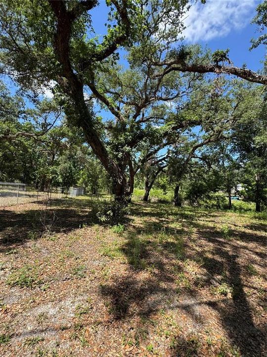 На продажу: $25,000 (0.30 acres)