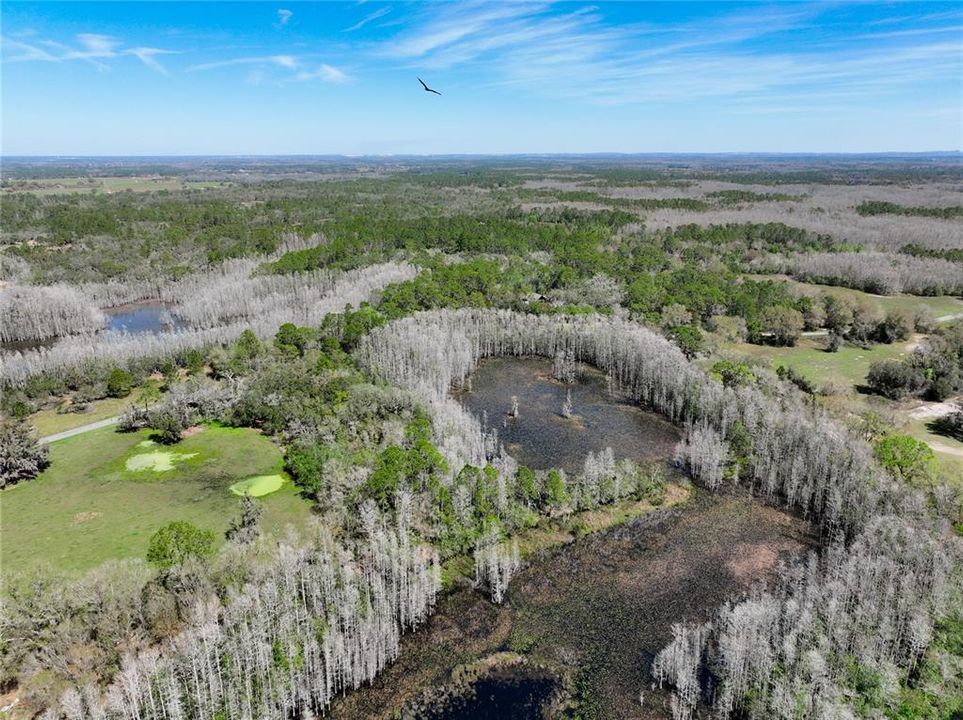 For Sale: $1,390,000 (4 beds, 2 baths, 3394 Square Feet)