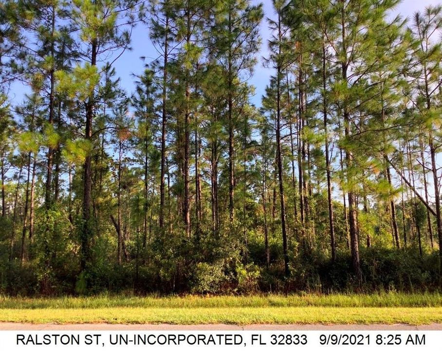 Activo con contrato: $179,900 (2.16 acres)