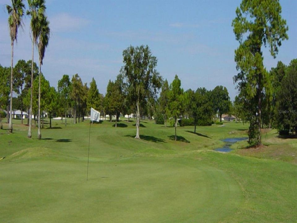 Activo con contrato: $179,900 (2.16 acres)