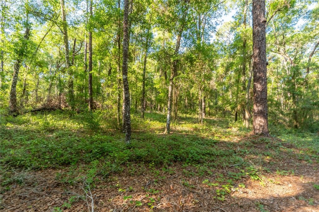 Recently Sold: $104,900 (2.57 acres)