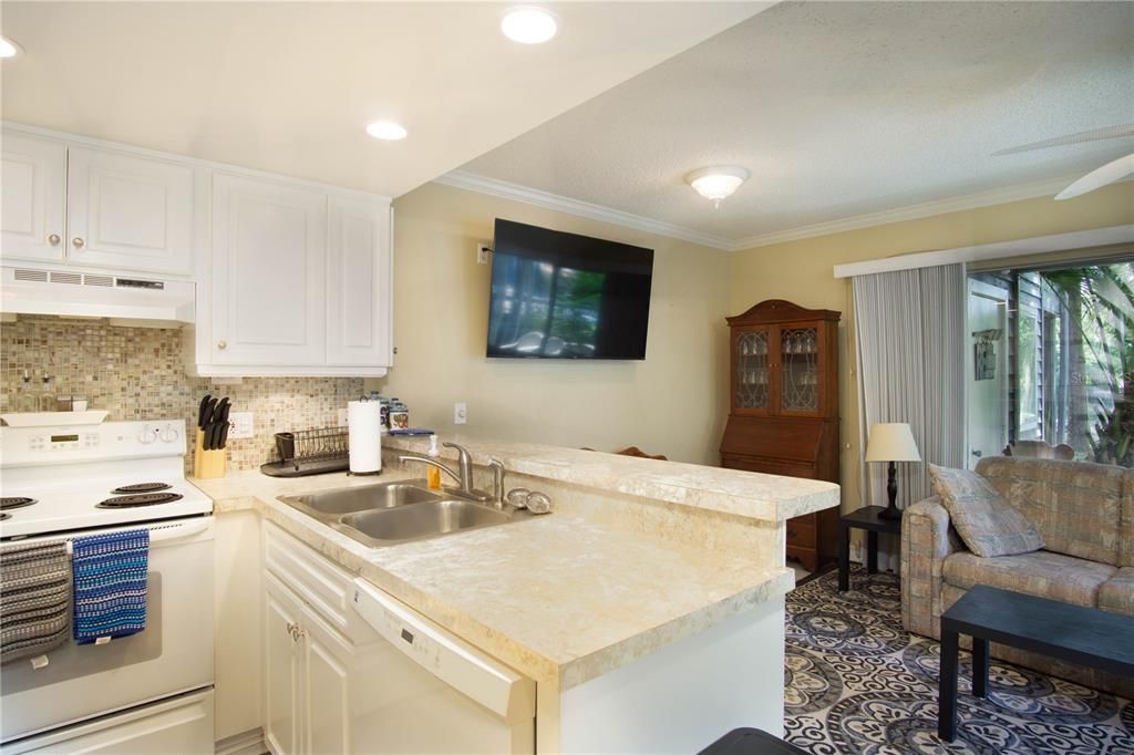 For Sale: $249,500 (1 beds, 1 baths, 480 Square Feet)