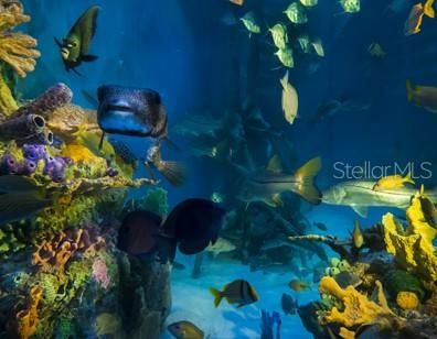 For Sale: $550,000 (2 beds, 2 baths, 835 Square Feet)