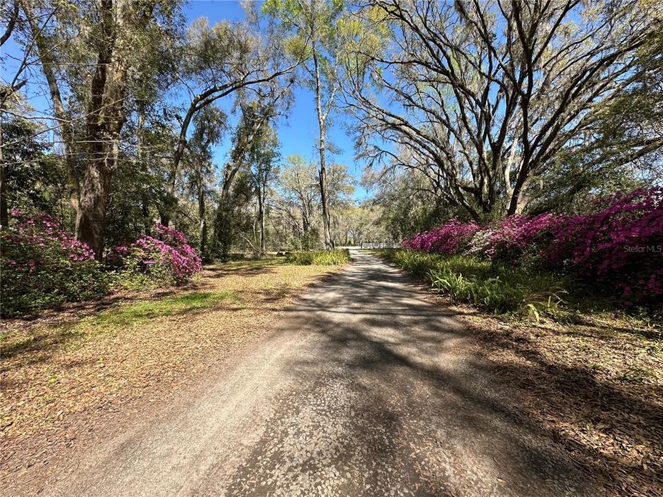 待售: $800,000 (6.00 acres)