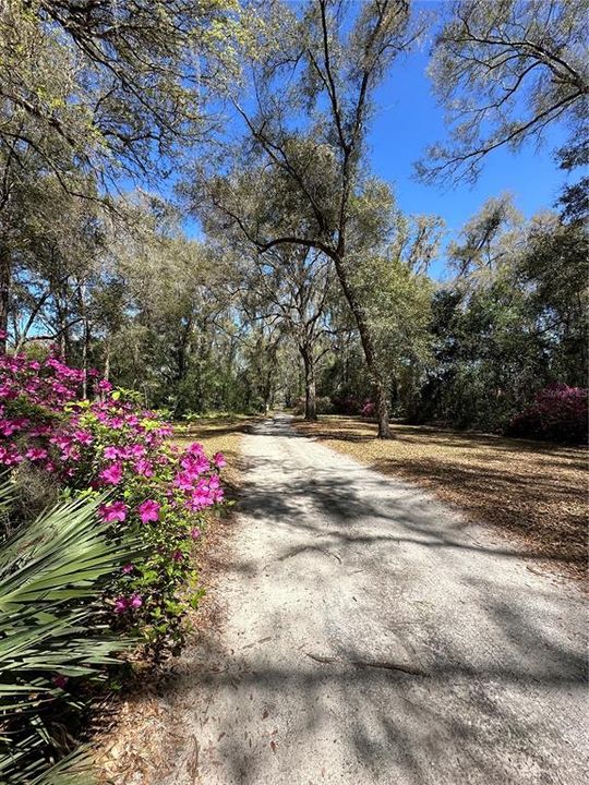 待售: $800,000 (6.00 acres)