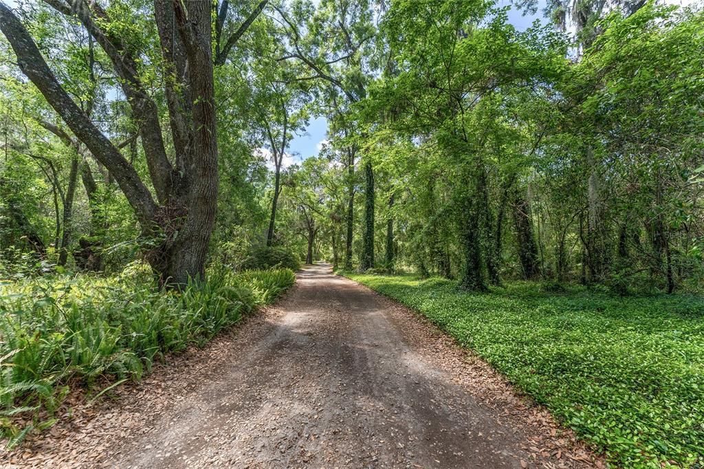 待售: $800,000 (6.00 acres)