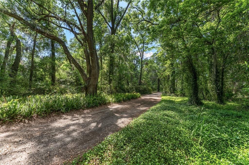 待售: $800,000 (6.00 acres)