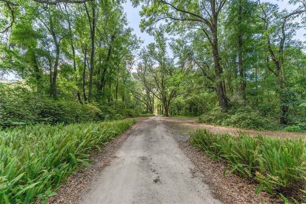 待售: $800,000 (6.00 acres)