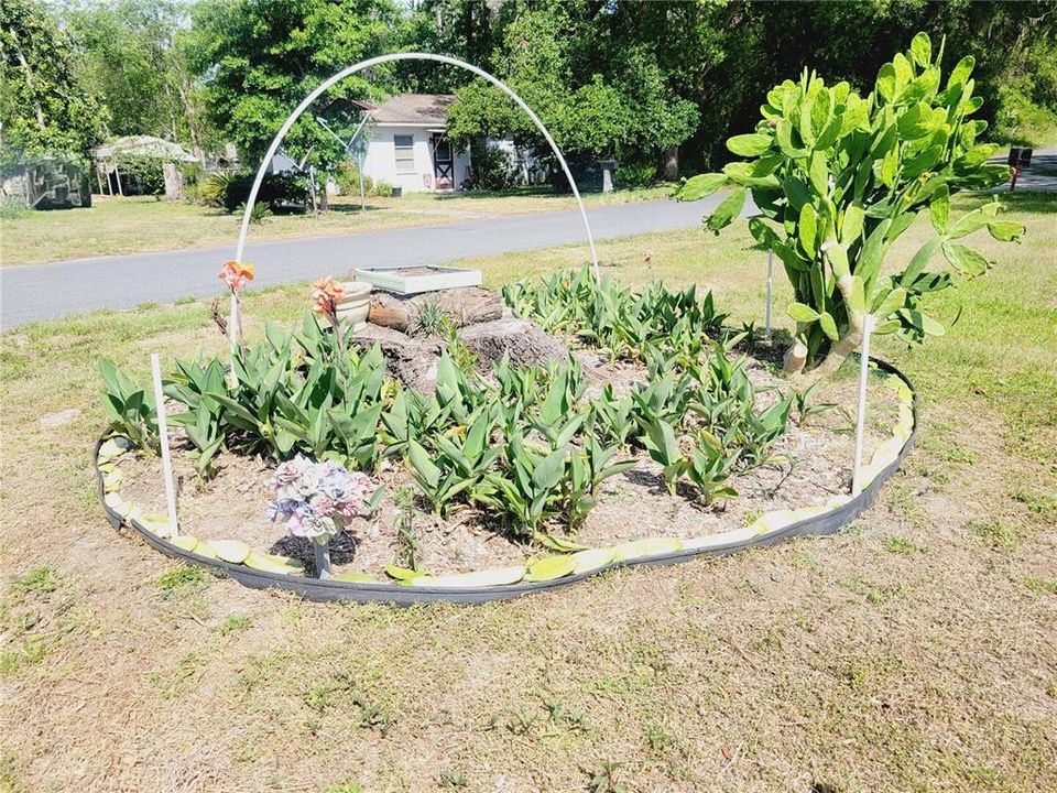 待售: $157,000 (2 贝兹, 2 浴室, 784 平方英尺)