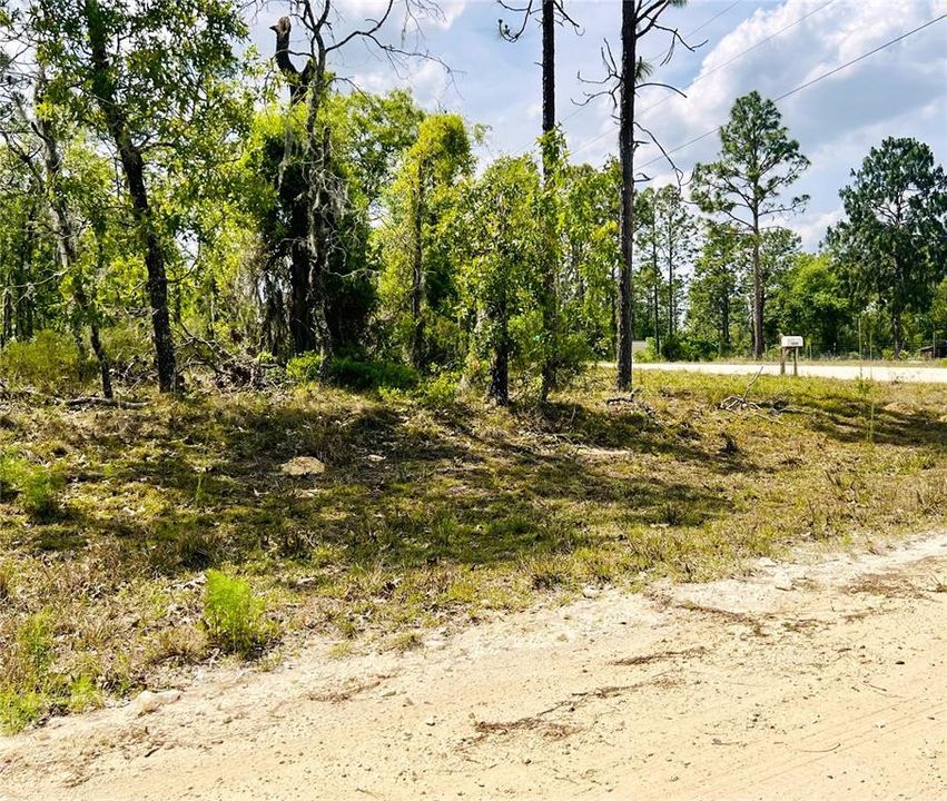 На продажу: $44,000 (1.00 acres)