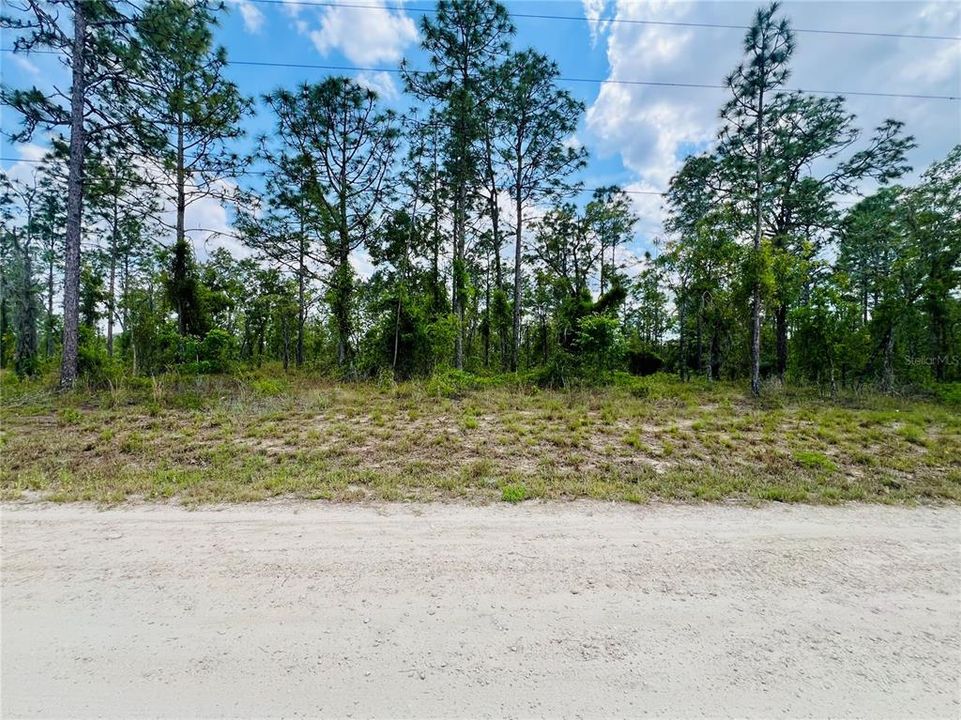 На продажу: $44,000 (1.00 acres)