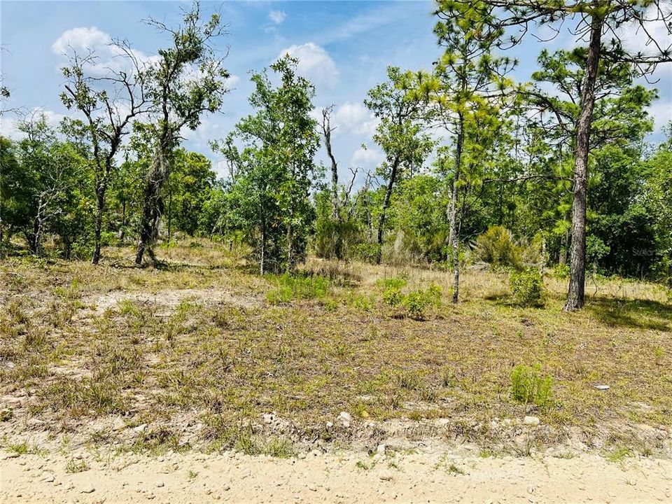 For Sale: $44,000 (1.00 acres)