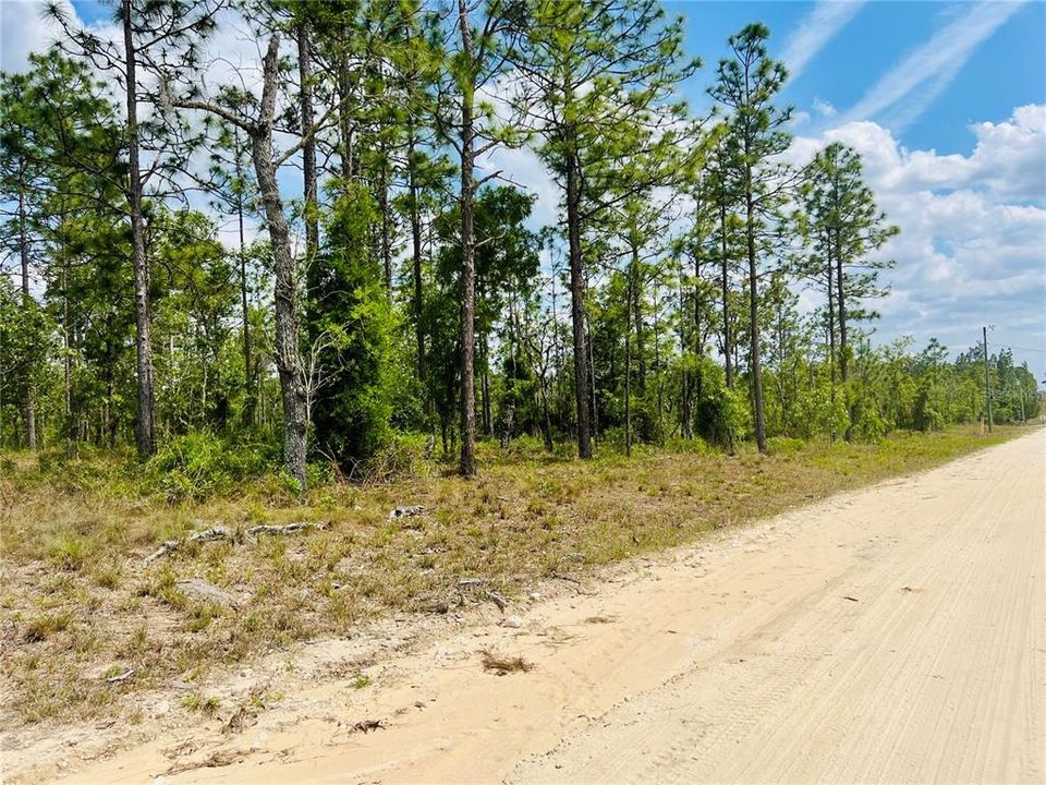 На продажу: $44,000 (1.00 acres)