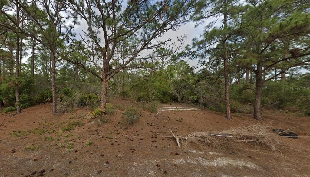 For Sale: $31,499 (0.53 acres)