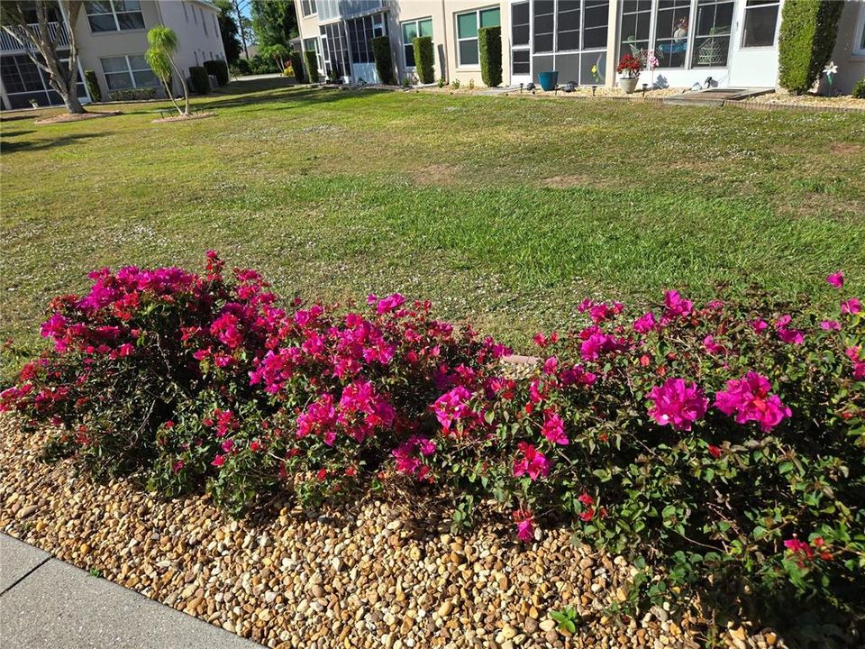 For Rent: $1,550 (2 beds, 2 baths, 1150 Square Feet)