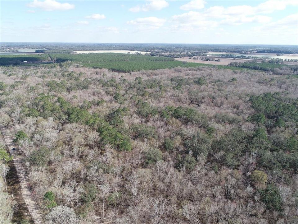 Recently Sold: $50,000 (5.00 acres)